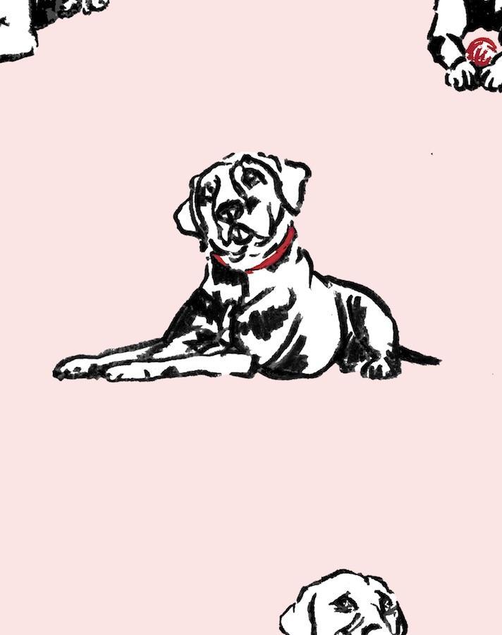 nacho toile pink
