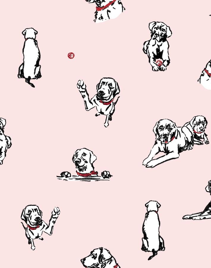 nacho toile pink