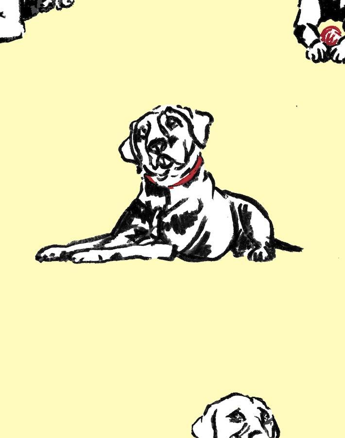 nacho-toile-yellow