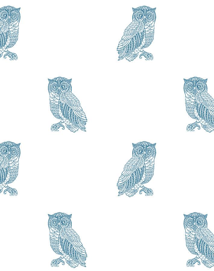otus the owl cadet blue on white