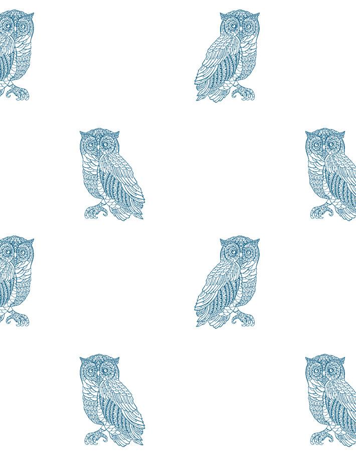 'Otus The Owl' Wallpaper by Wallshoppe - Cadet Blue On White