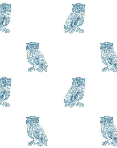otus the owl cadet blue on white