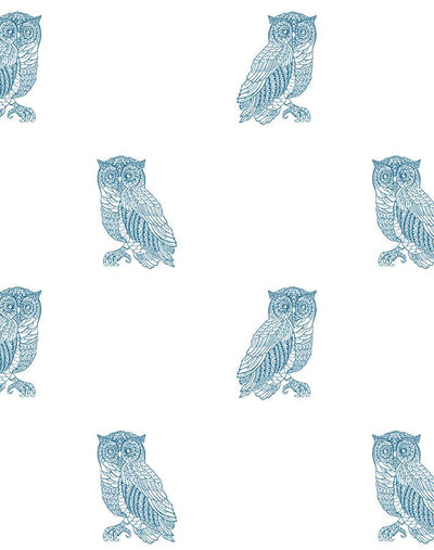 'Otus The Owl' Wallpaper by Wallshoppe - Cadet Blue On White