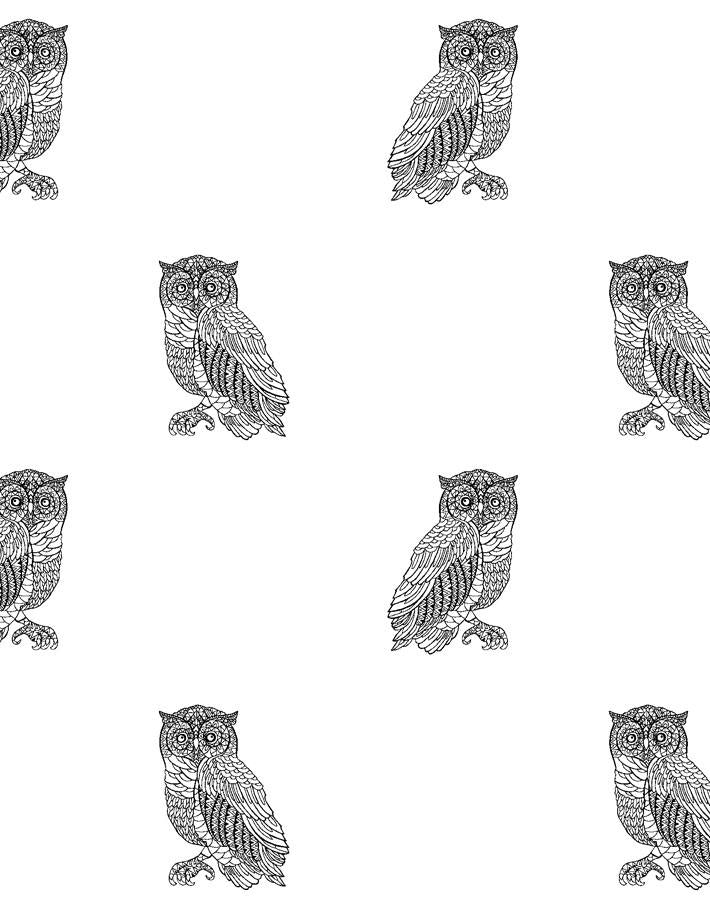 'Otus The Owl' Wallpaper by Wallshoppe - Onyx On White