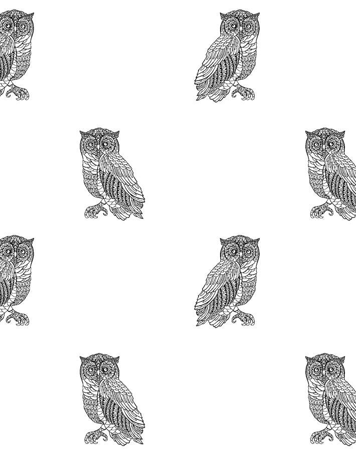 'Otus The Owl' Wallpaper by Wallshoppe - Onyx On White