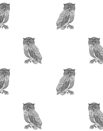 'Otus The Owl' Wallpaper by Wallshoppe - Onyx On White