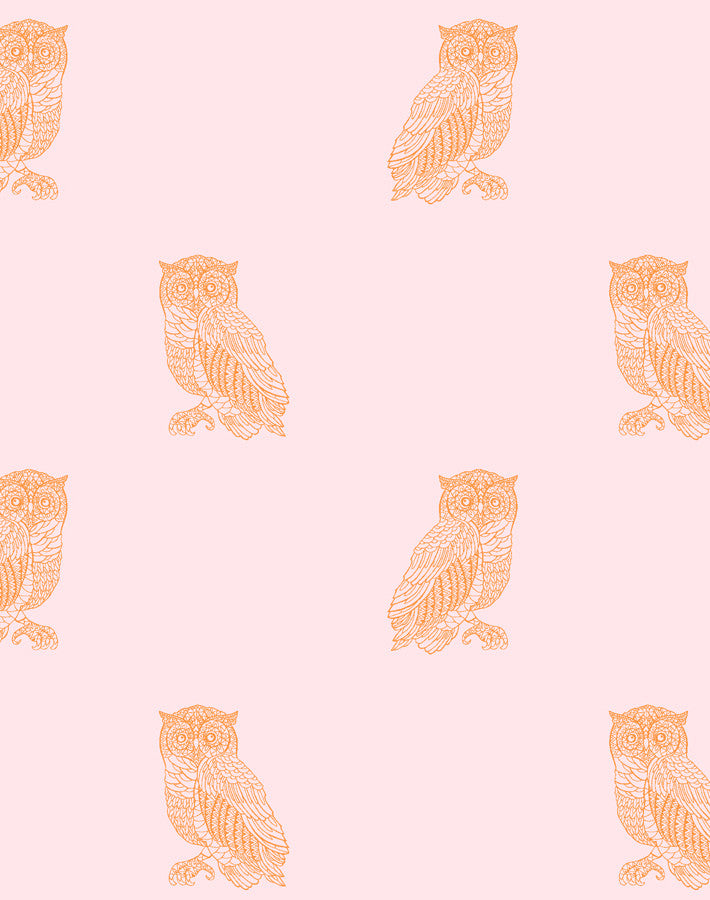 otus the owl piggybank pushpop
