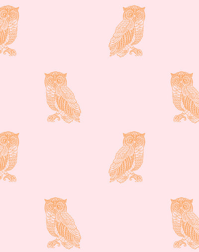 'Otus the Owl' Wallpaper by Wallshoppe - Piggybank / Pushpop