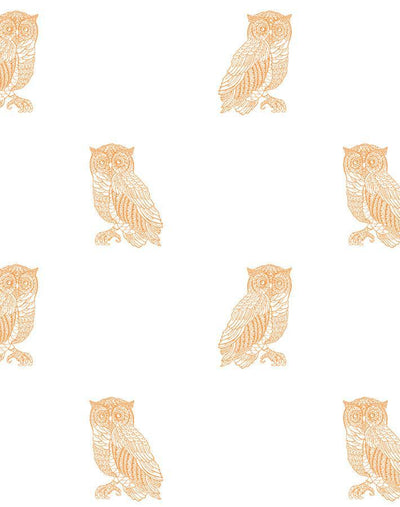 'Otus The Owl' Wallpaper by Wallshoppe - Pushpop On White