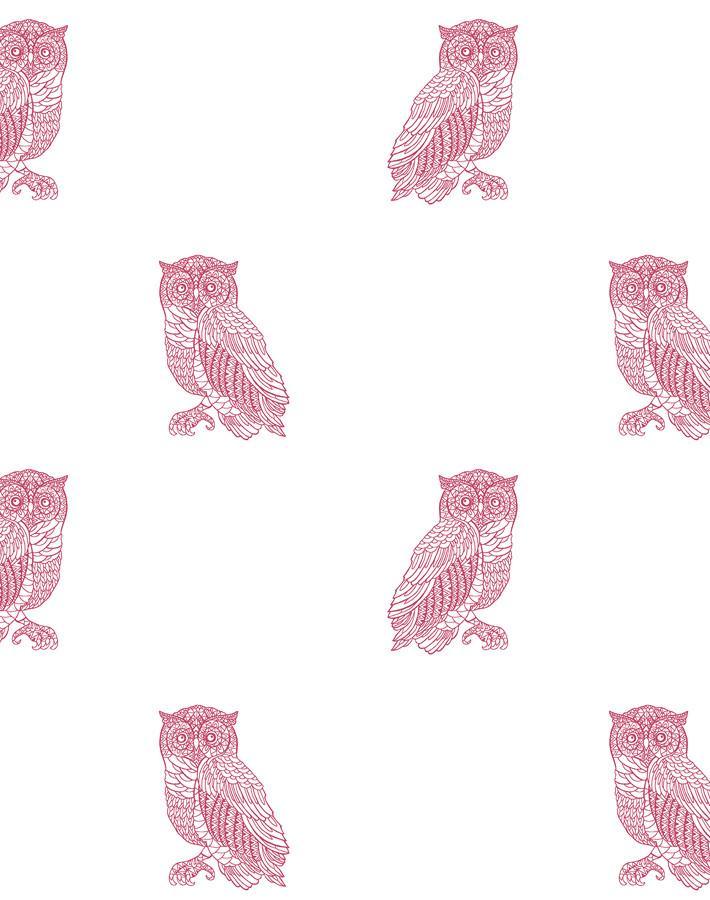 'Otus The Owl' Wallpaper by Wallshoppe - Rose On White