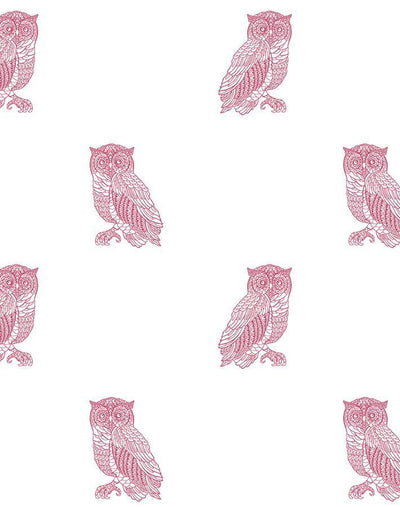 'Otus The Owl' Wallpaper by Wallshoppe - Rose On White