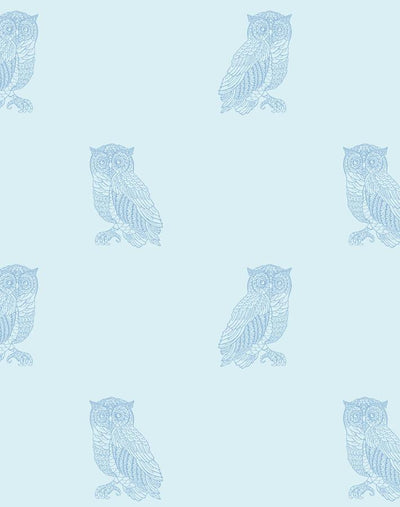 'Otus The Owl' Wallpaper by Wallshoppe - Sky / Cornflower