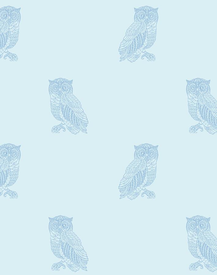 'Otus The Owl' Wallpaper by Wallshoppe - Sky / Cornflower