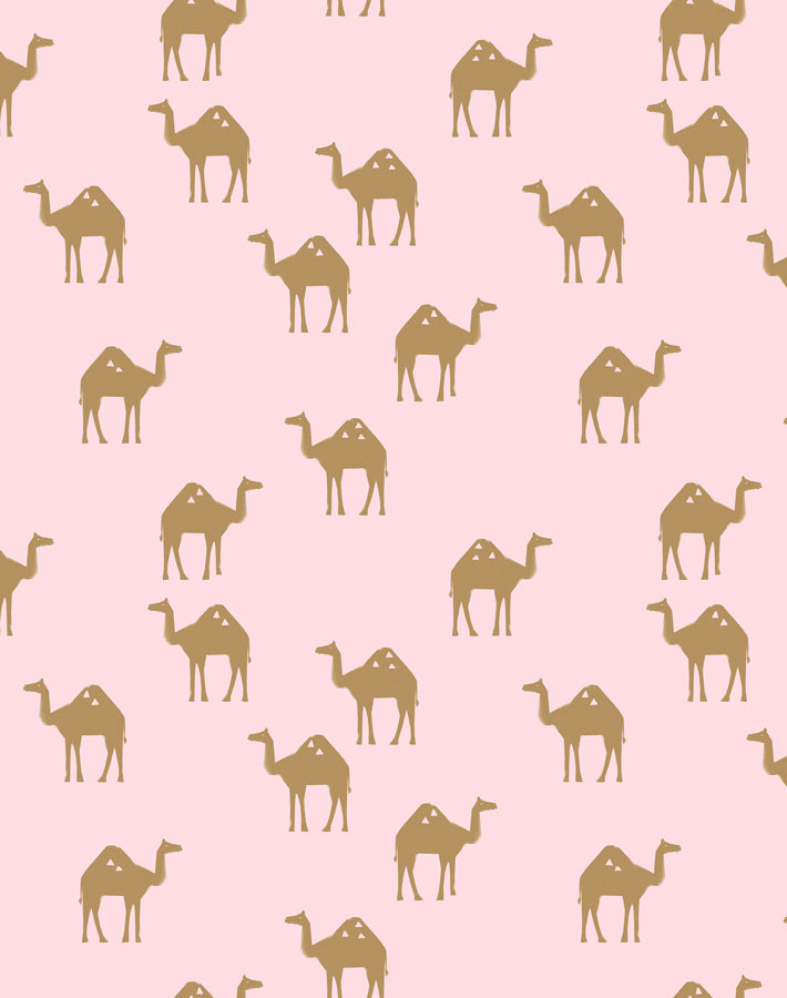 oasis camels ballet slipper