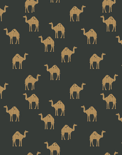 oasis camels charcoal