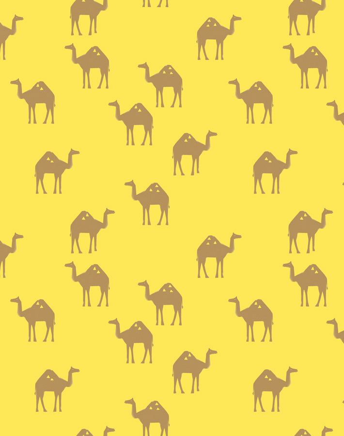 oasis-camels-daffodil