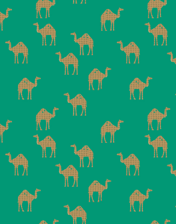 oasis camels emerald