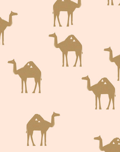 oasis camels peach