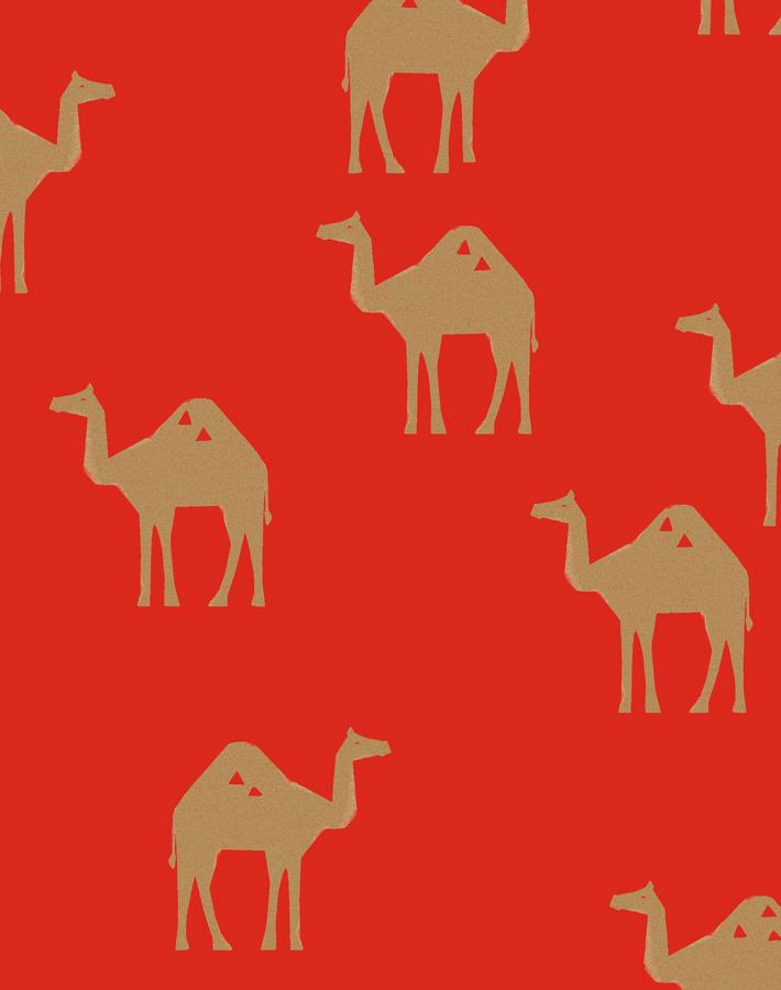 oasis-camels-red