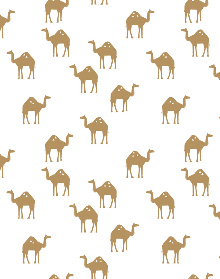 oasis camels white