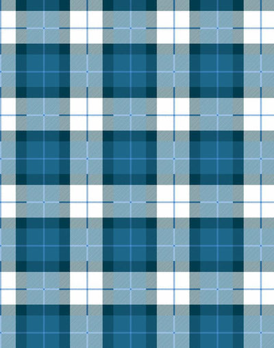oban plaid cadet blue
