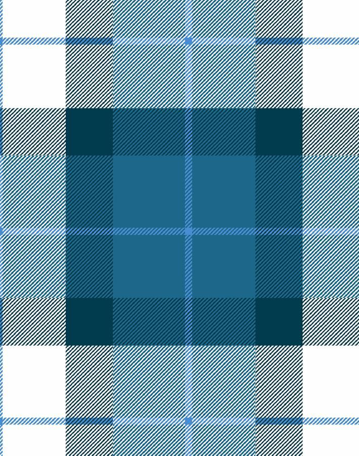 oban plaid cadet blue
