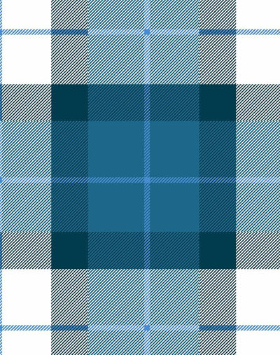 oban plaid cadet blue