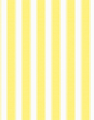 'Ojai Stripe' Wallpaper by Wallshoppe - Yellow