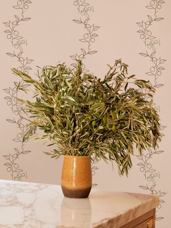 'Opa!' Wallpaper by Lingua Franca - Peach