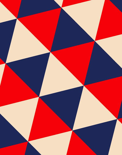 'Optic Triangle' Wallpaper by Clare V. - Navy / Peach