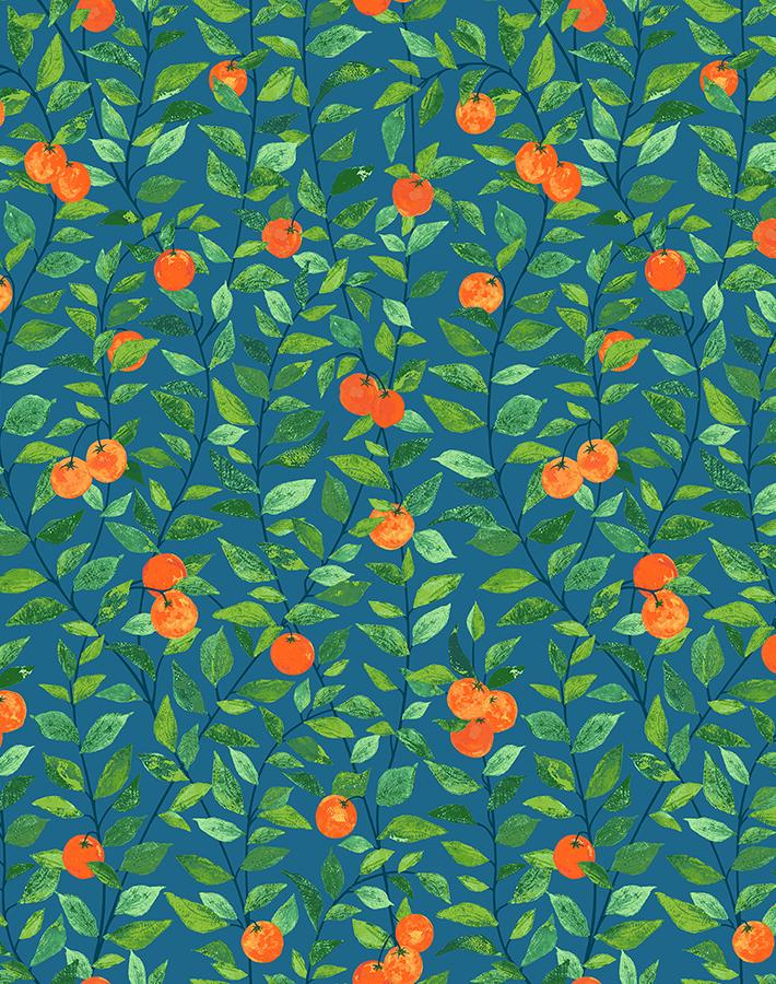 'Orange Crush' Wallpaper by Nathan Turner - Cadet Blue