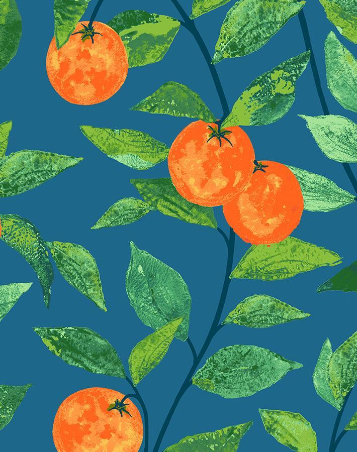 'Orange Crush' Wallpaper by Nathan Turner - Cadet Blue