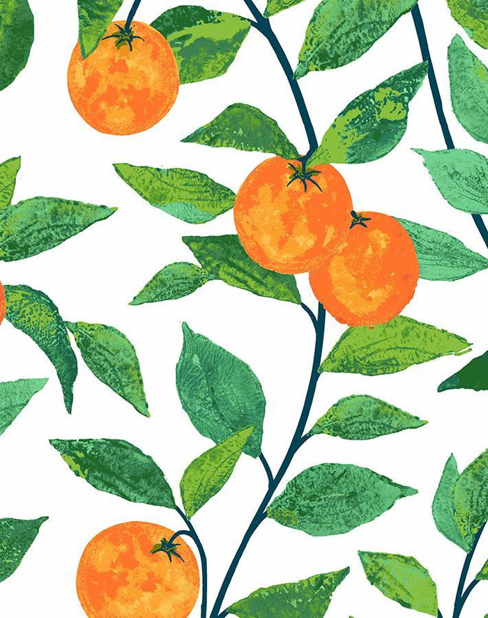 'Orange Crush' Wallpaper by Nathan Turner - White