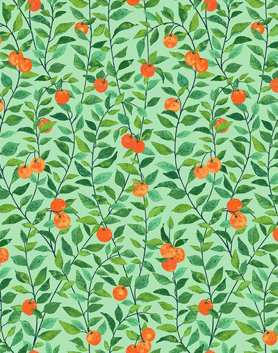 'Orange Crush' Wallpaper by Nathan Turner - Green