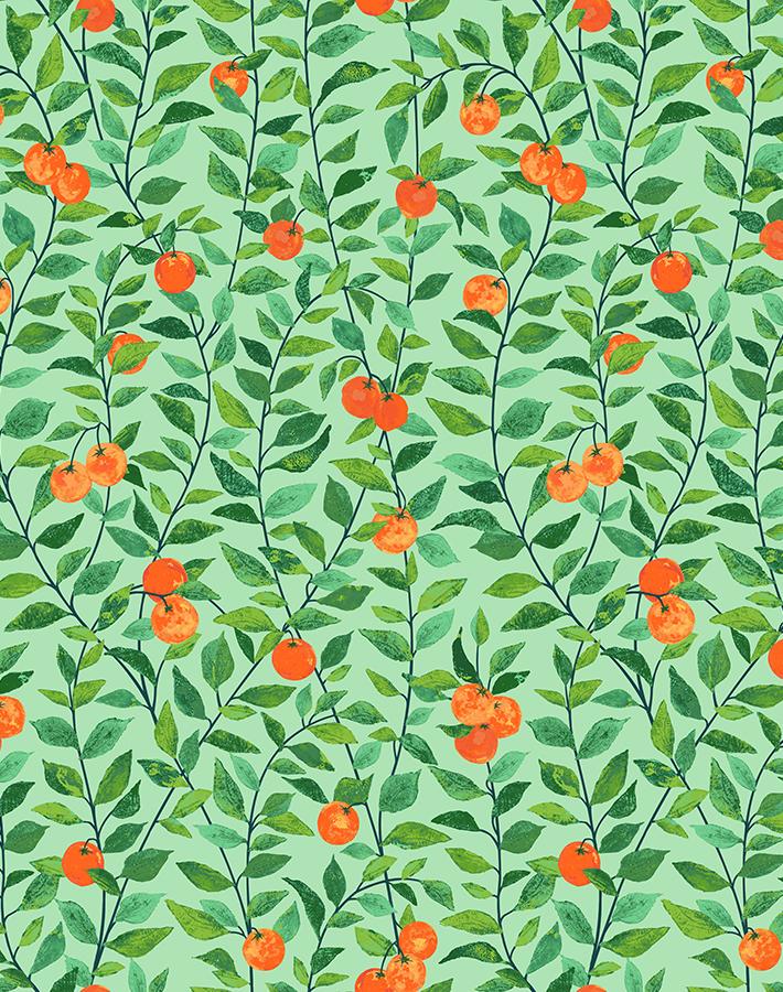 'Orange Crush' Wallpaper by Nathan Turner - Green