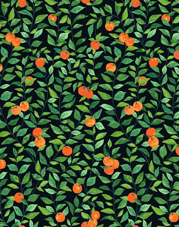 Orange Crush' Wallpaper by Nathan Turner - Onyx