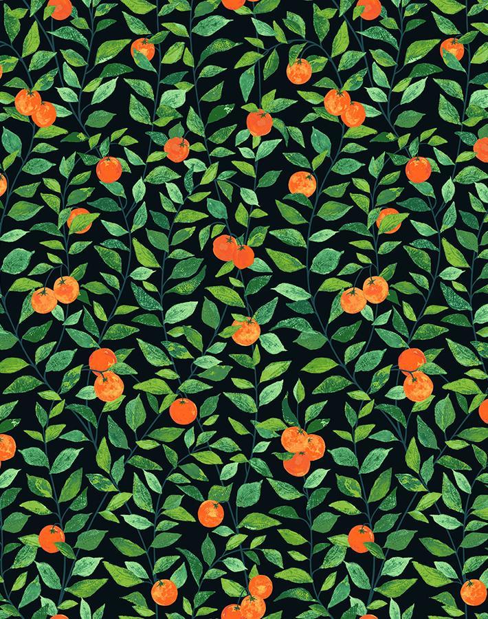 'Orange Crush' Wallpaper by Nathan Turner - Onyx