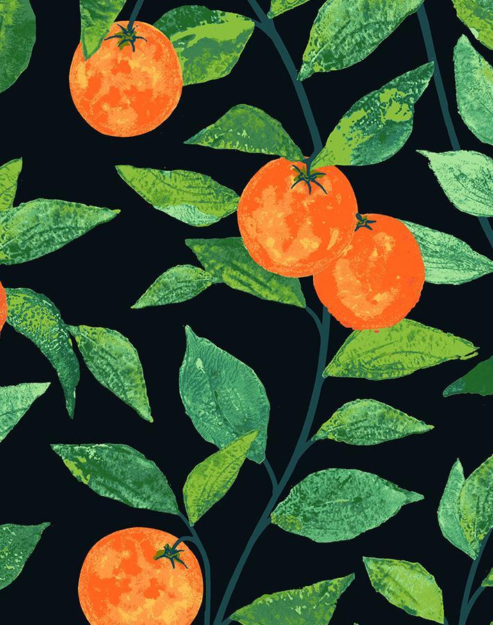 'Orange Crush' Wallpaper by Nathan Turner - Onyx