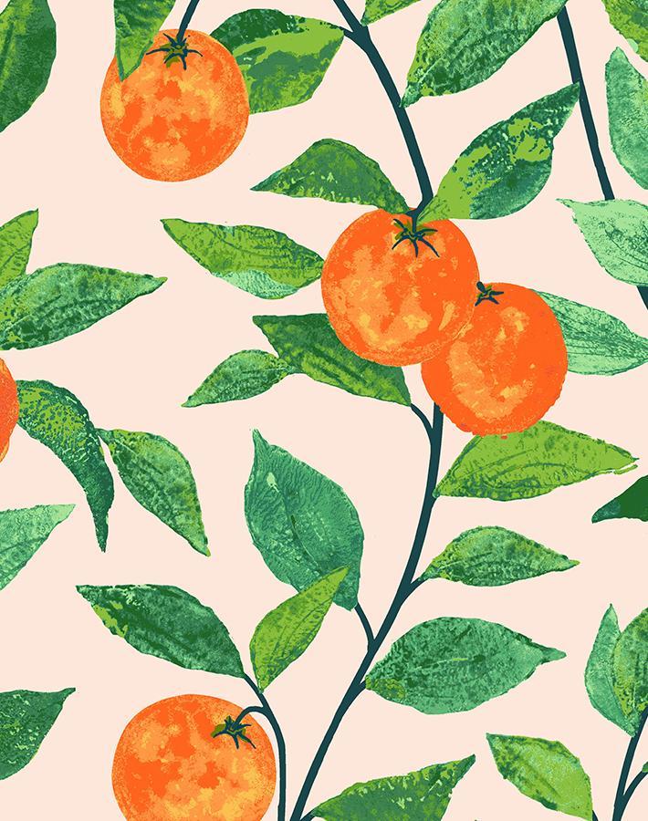'Orange Crush' Wallpaper by Nathan Turner - Peach