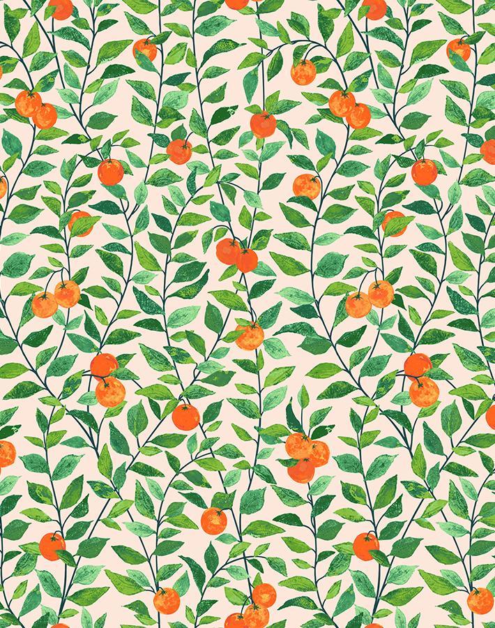 'Orange Crush' Wallpaper by Nathan Turner - Peach