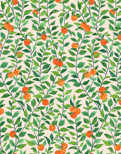 orange crush peach