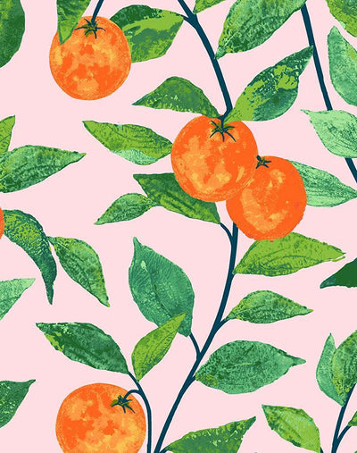 'Orange Crush' Wallpaper by Nathan Turner - Pink