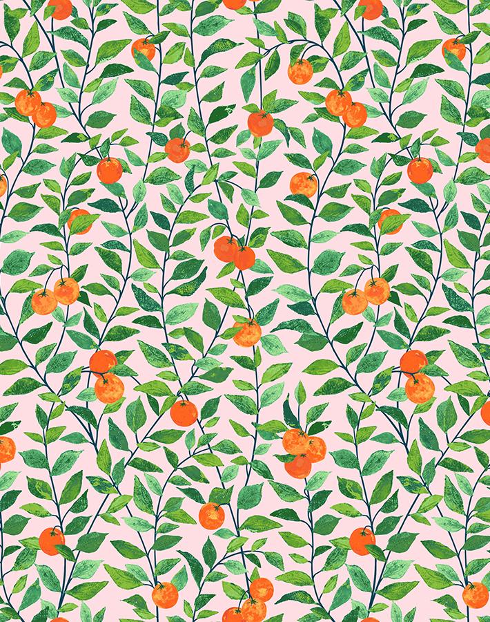 orange-crush-pink
