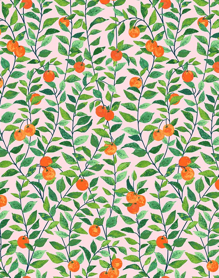 'Orange Crush' Wallpaper by Nathan Turner - Pink