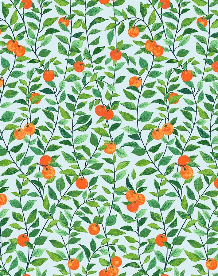 orange-crush-sky