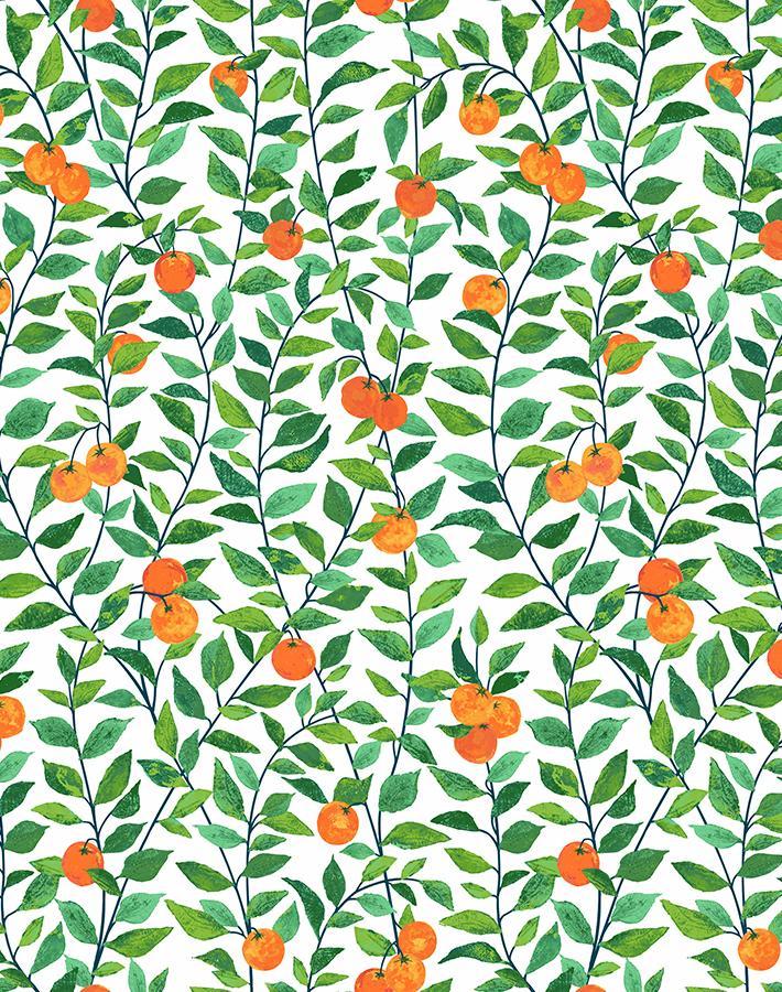 'Orange Crush' Wallpaper by Nathan Turner - White