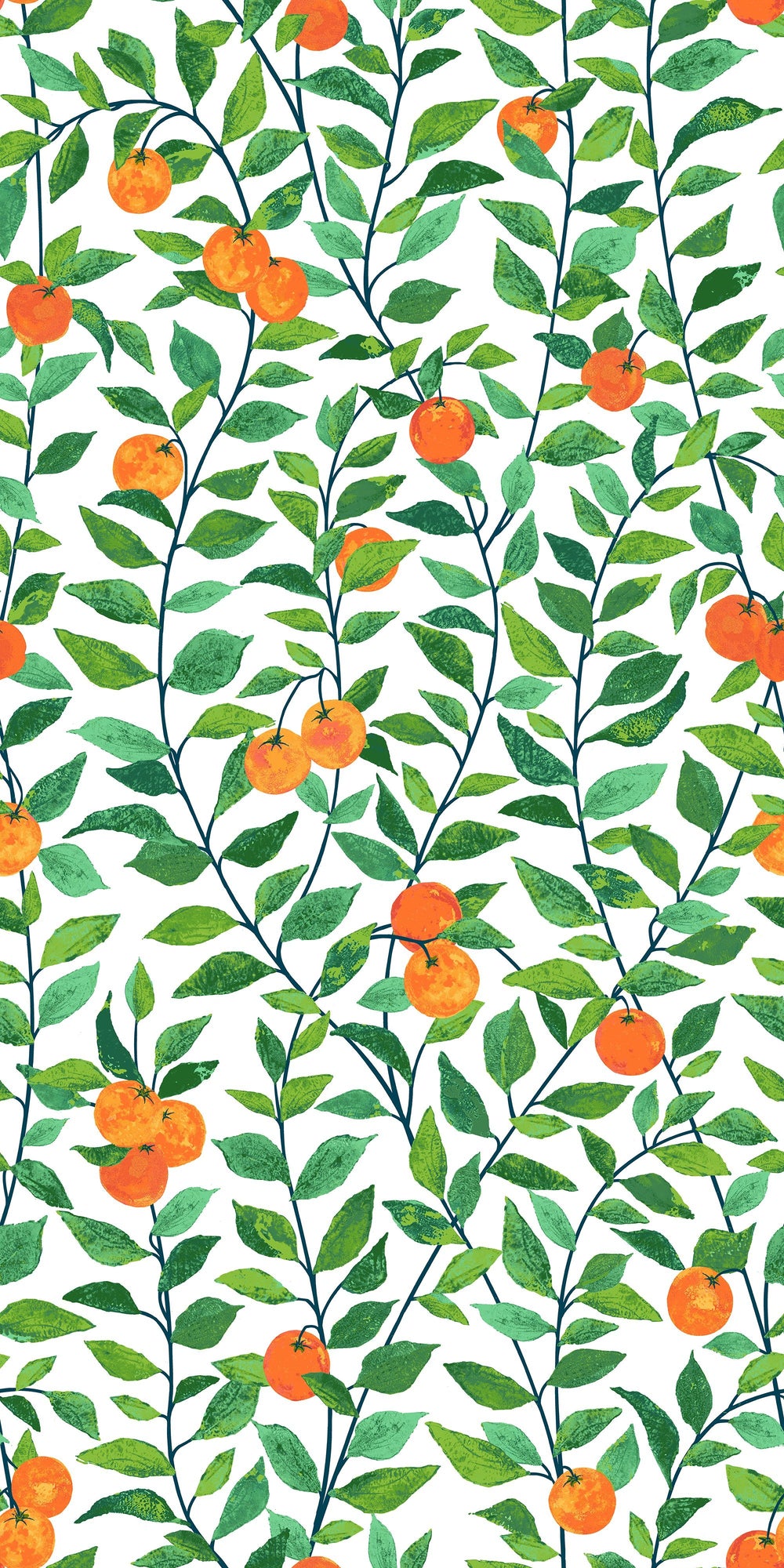 orange-crush-white