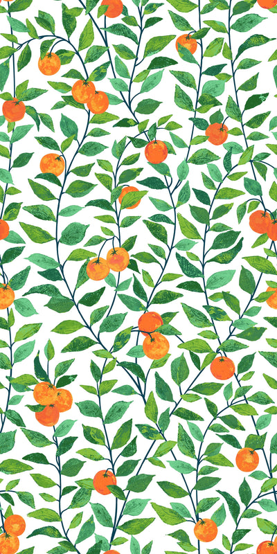 'Orange Crush' Wallpaper by Nathan Turner - White