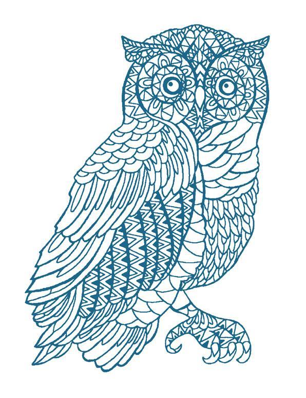 otus the owl cadet blue on white