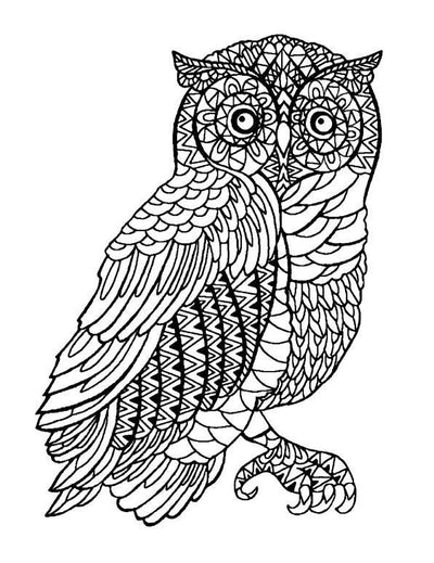 'Otus The Owl' Wallpaper by Wallshoppe - Onyx On White